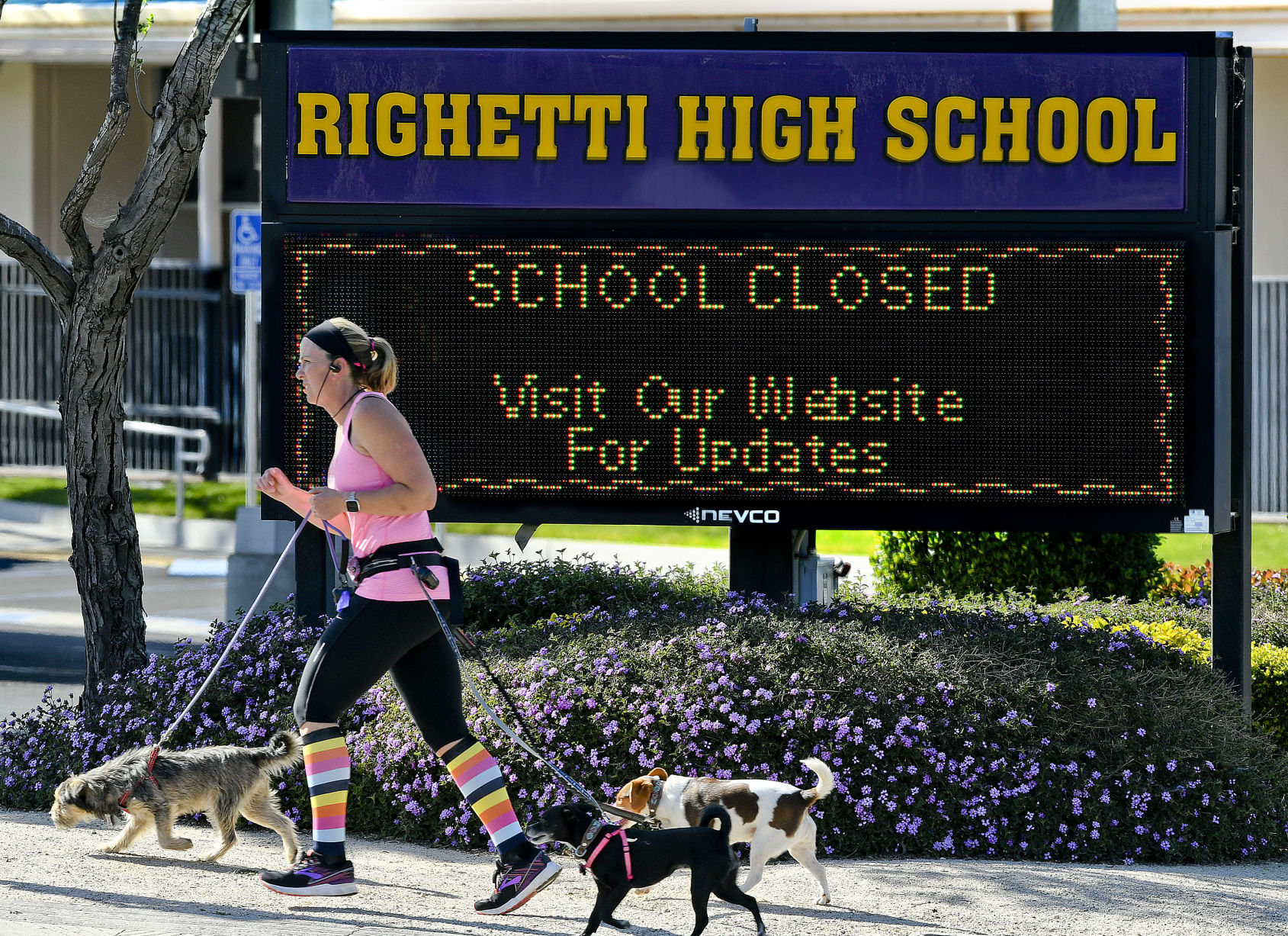 Schools closed